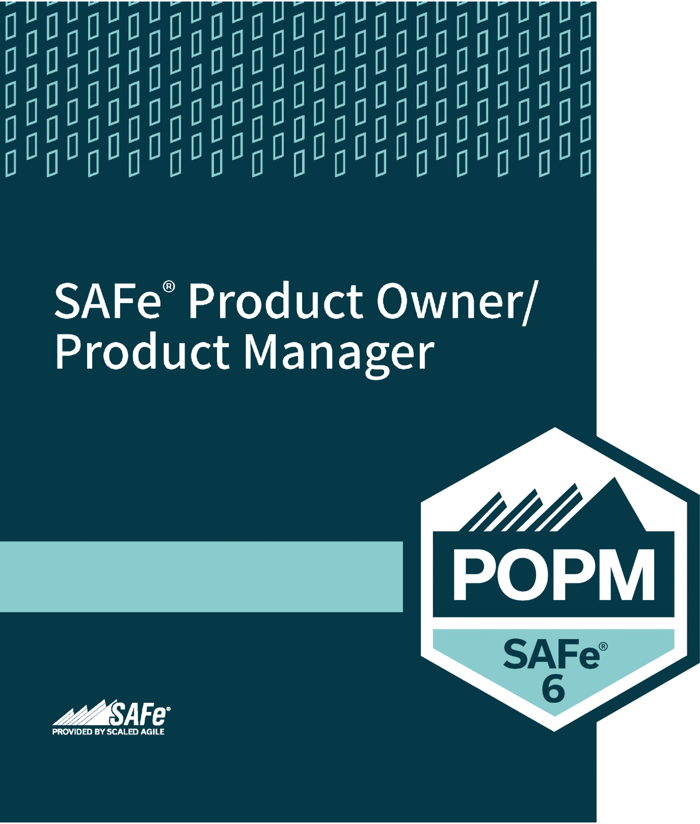 SAFe® Product Owner/Product Manager
