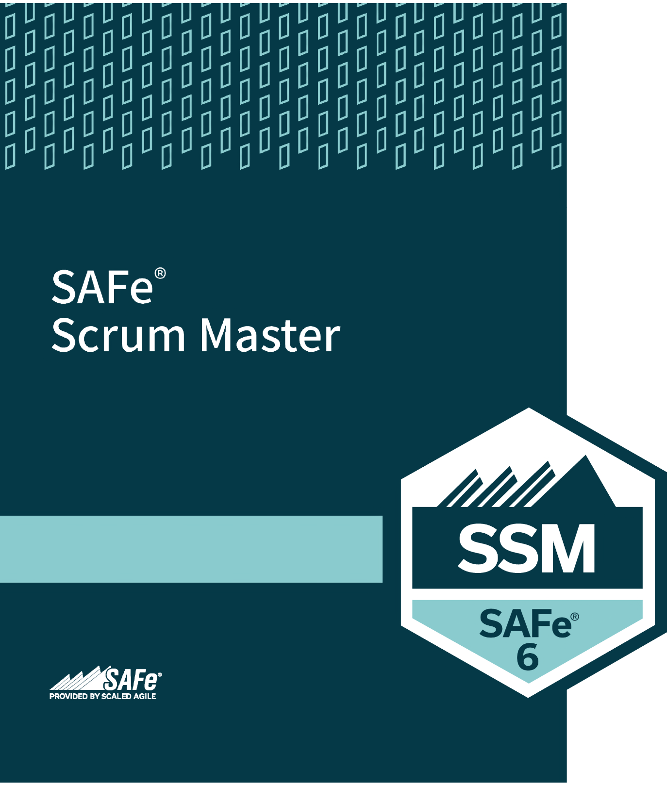 SAFe® Scrum Master

